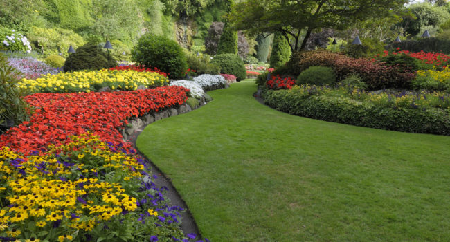 Summer garden landscape-design