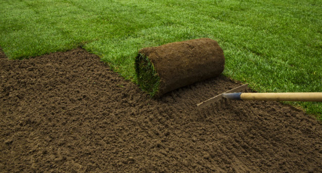 Lawned garden lawn-installation
