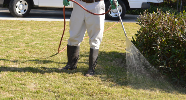 Professional Lawn Spraying Professional Lawn Spraying