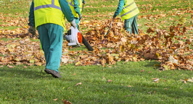 Spring Clean Up spring-clean-up